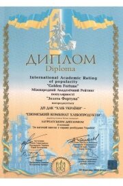 Диплом "Золота Фортуна" в номинации "Весомый вклад в дело развития Украины"